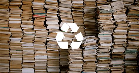 Can You Recycle Books? Exploring the Unlikely Connection Between Literature and Sustainability