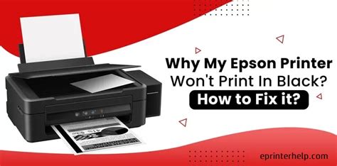 Why Won't My Epson Printer Print: A Detailed Exploration of Printer Issues and Solutions